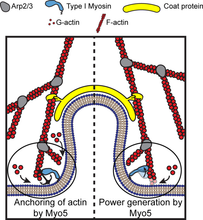 Figure 1: