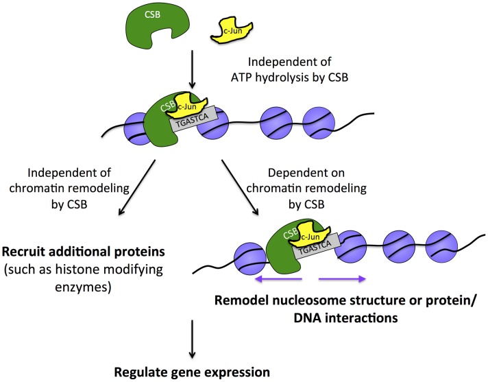 Figure 7