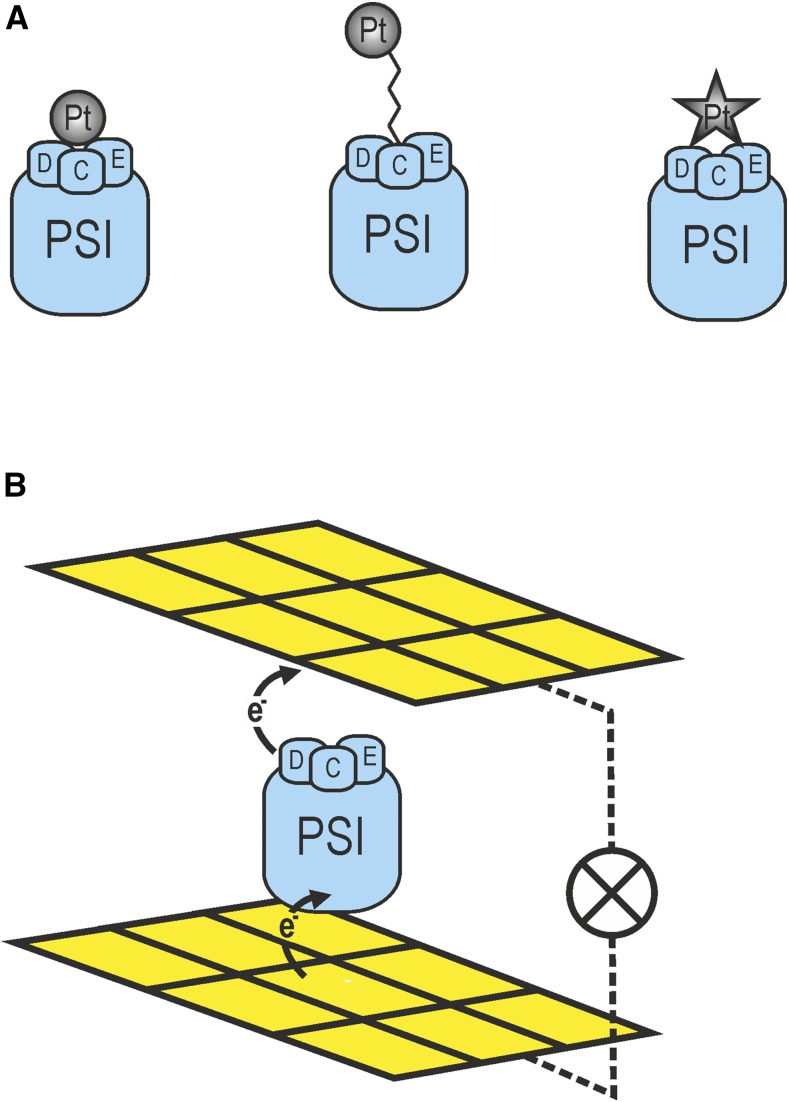 Figure 5.