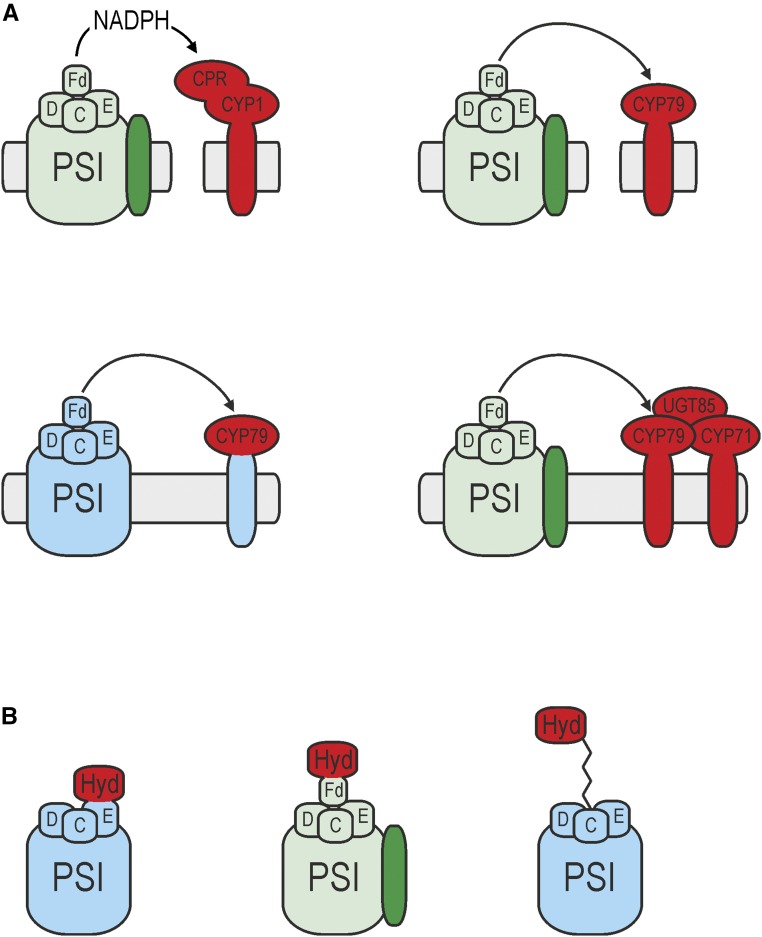 Figure 4.