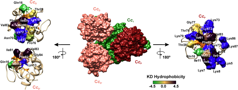 Fig. 2