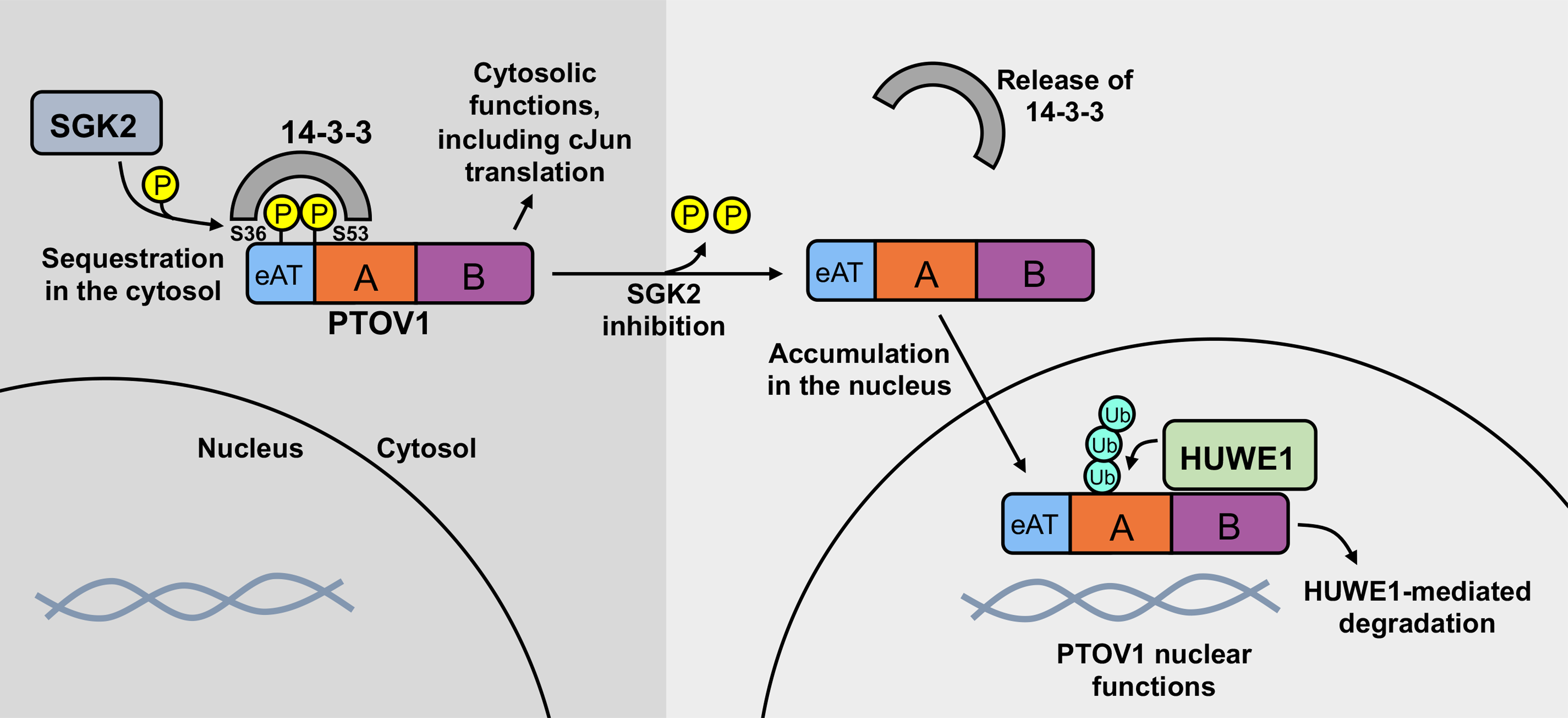 Figure 7.