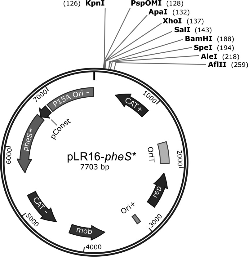 FIG 2