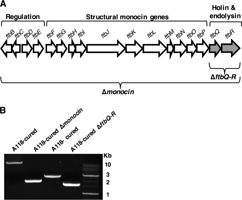 FIG 3