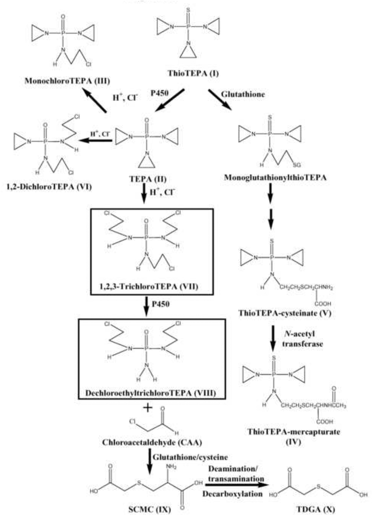 Fig. 8.