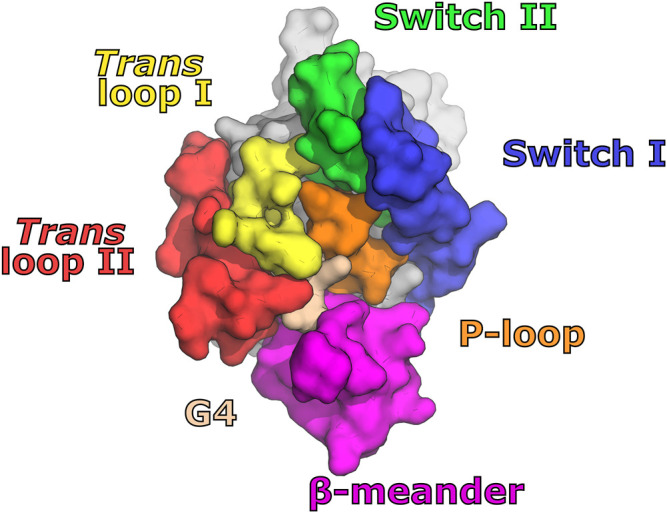 FIGURE 6