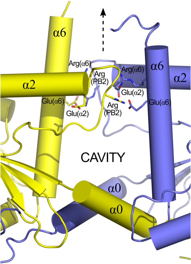 FIGURE 12