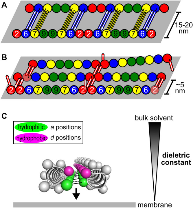 FIGURE 11