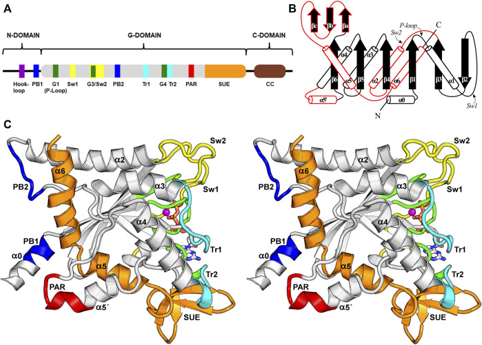 FIGURE 3