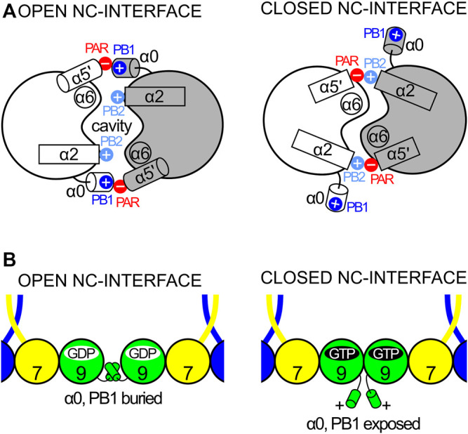 FIGURE 13