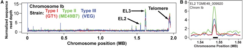 FIG 2 