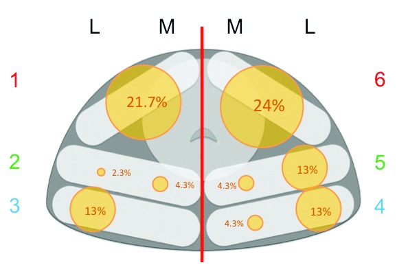 Fig. 2.