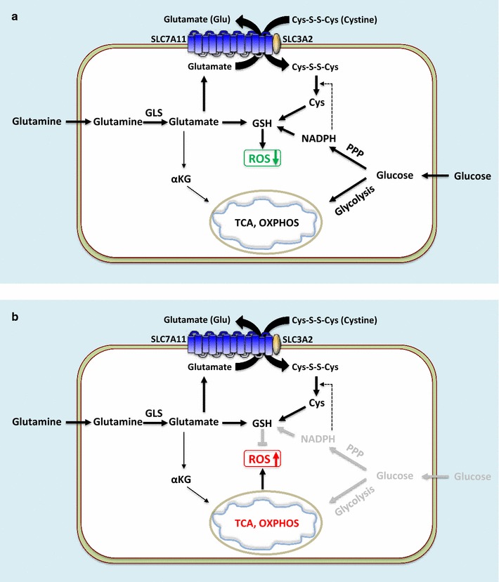 Fig. 3