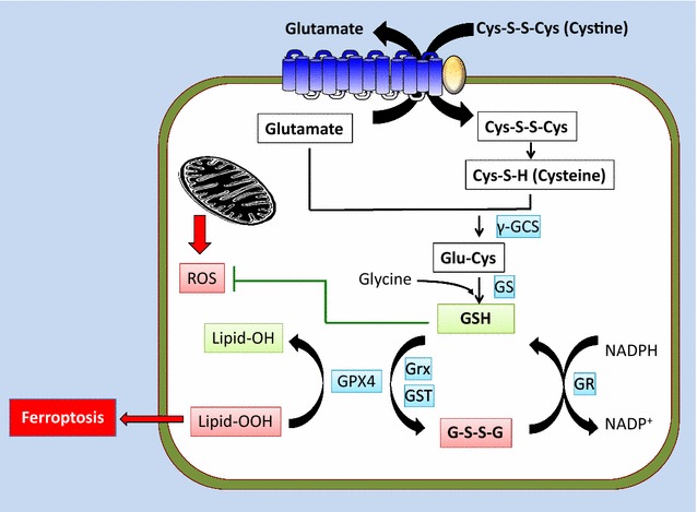 Fig. 2