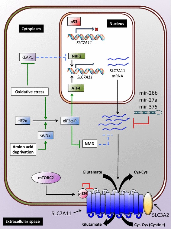 Fig. 4