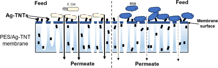 Fig. 14