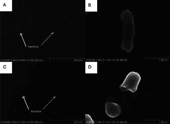 Fig. 15