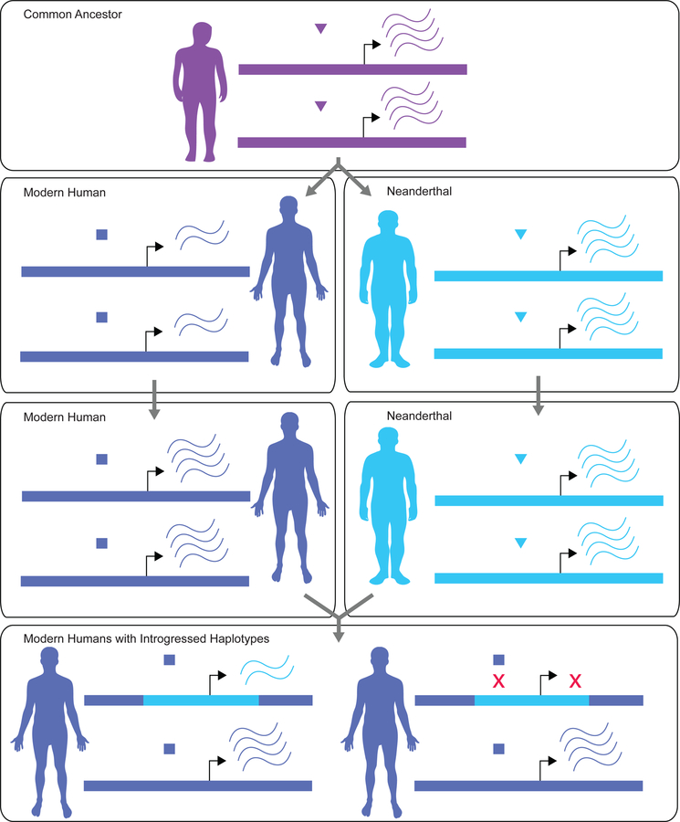 Figure 6.