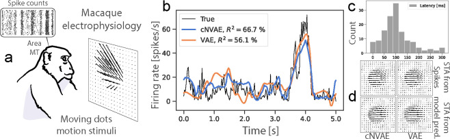 Figure 6: