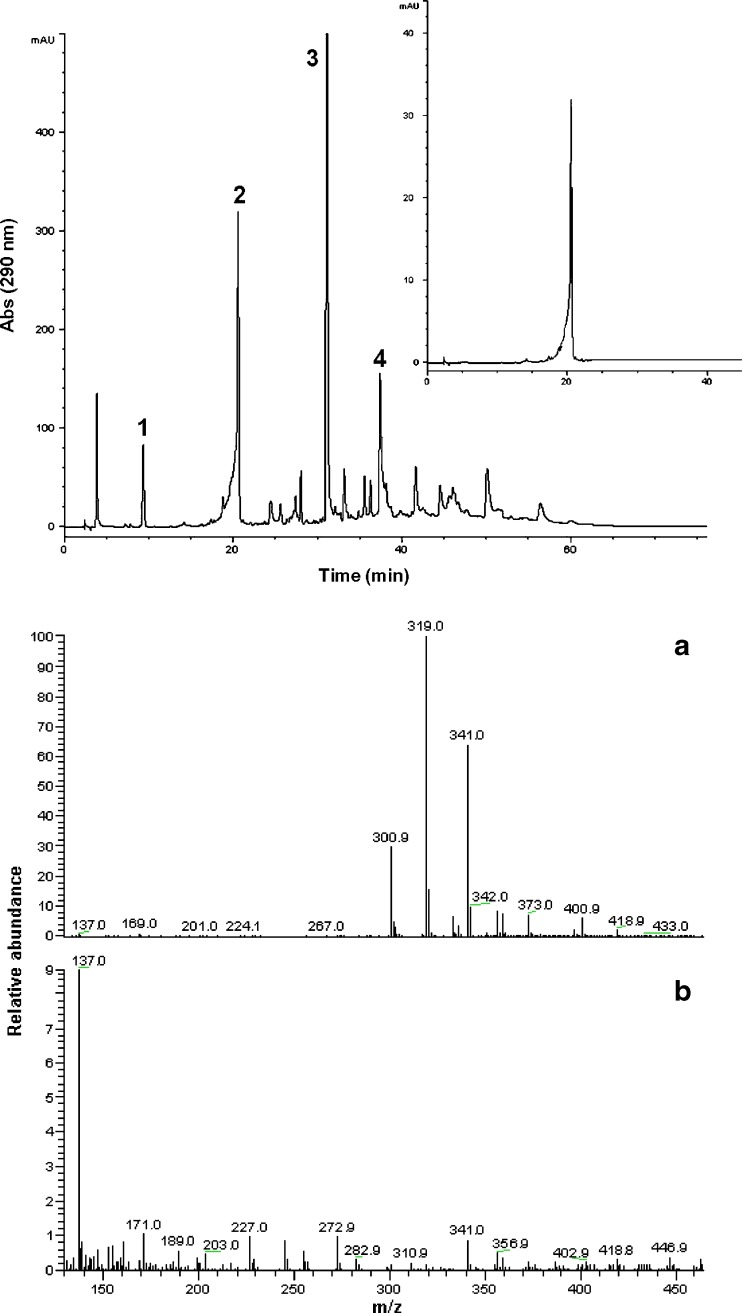 Fig. 1