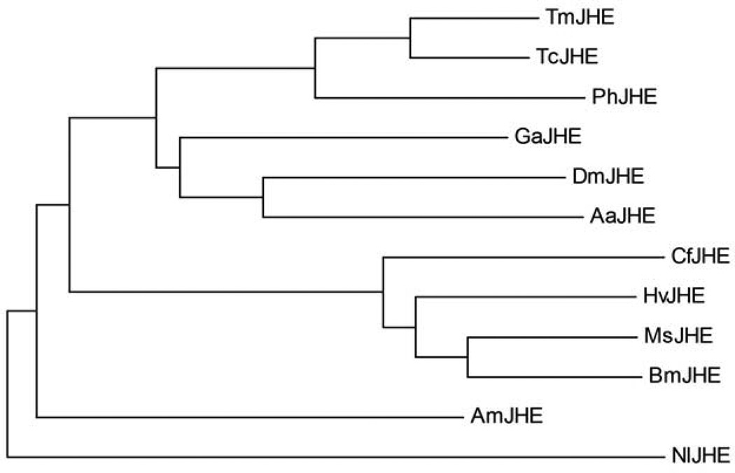 Fig.3