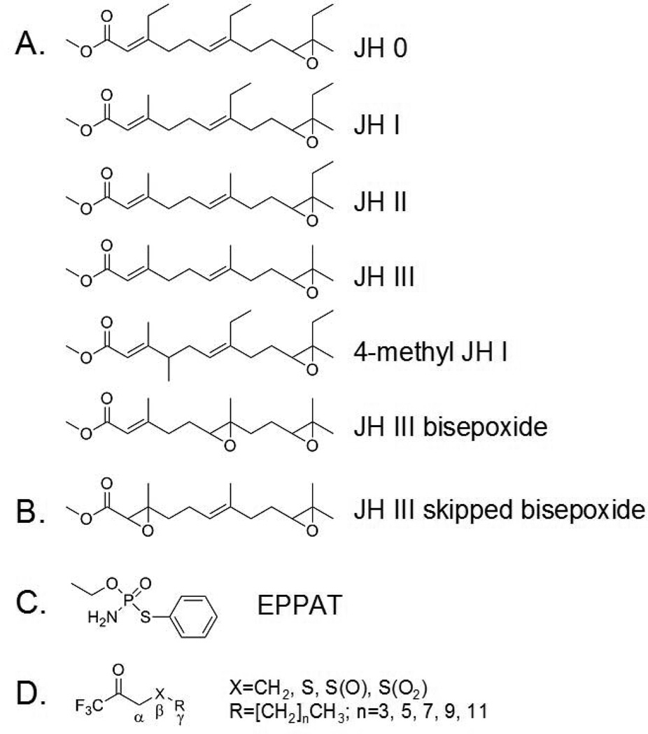 Fig.1