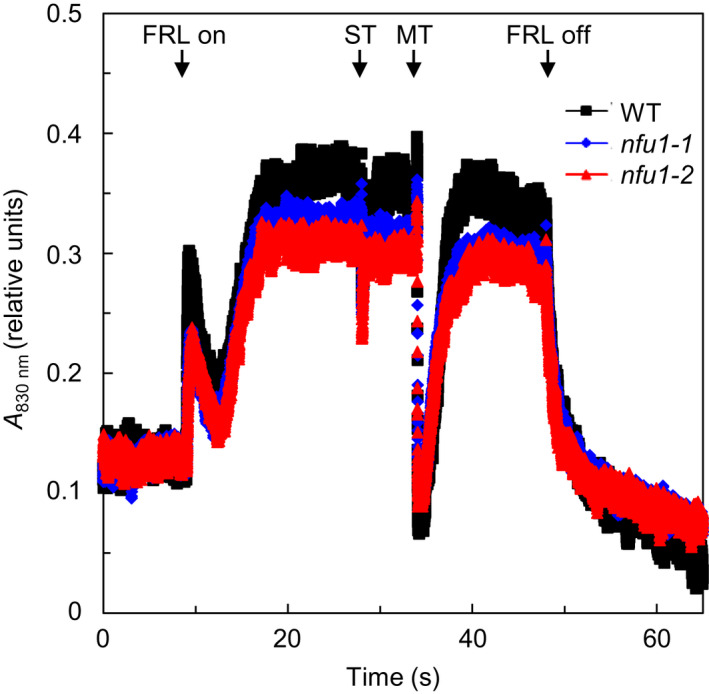 FIGURE 6