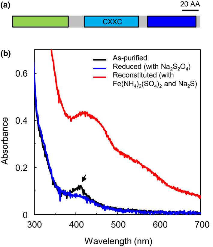 FIGURE 4