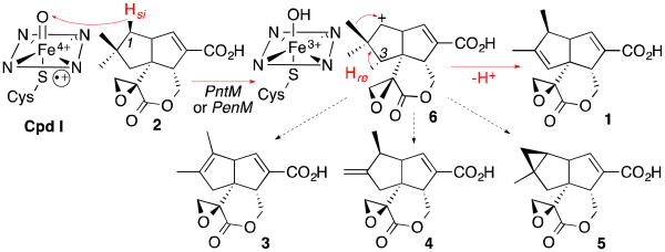 Scheme 1