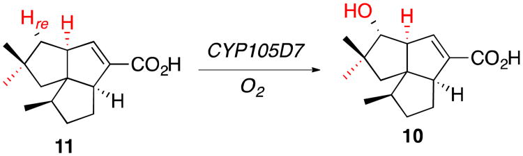 Scheme 4