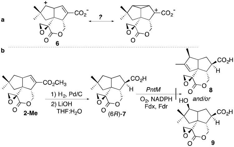 Scheme 3