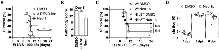 Fig 7