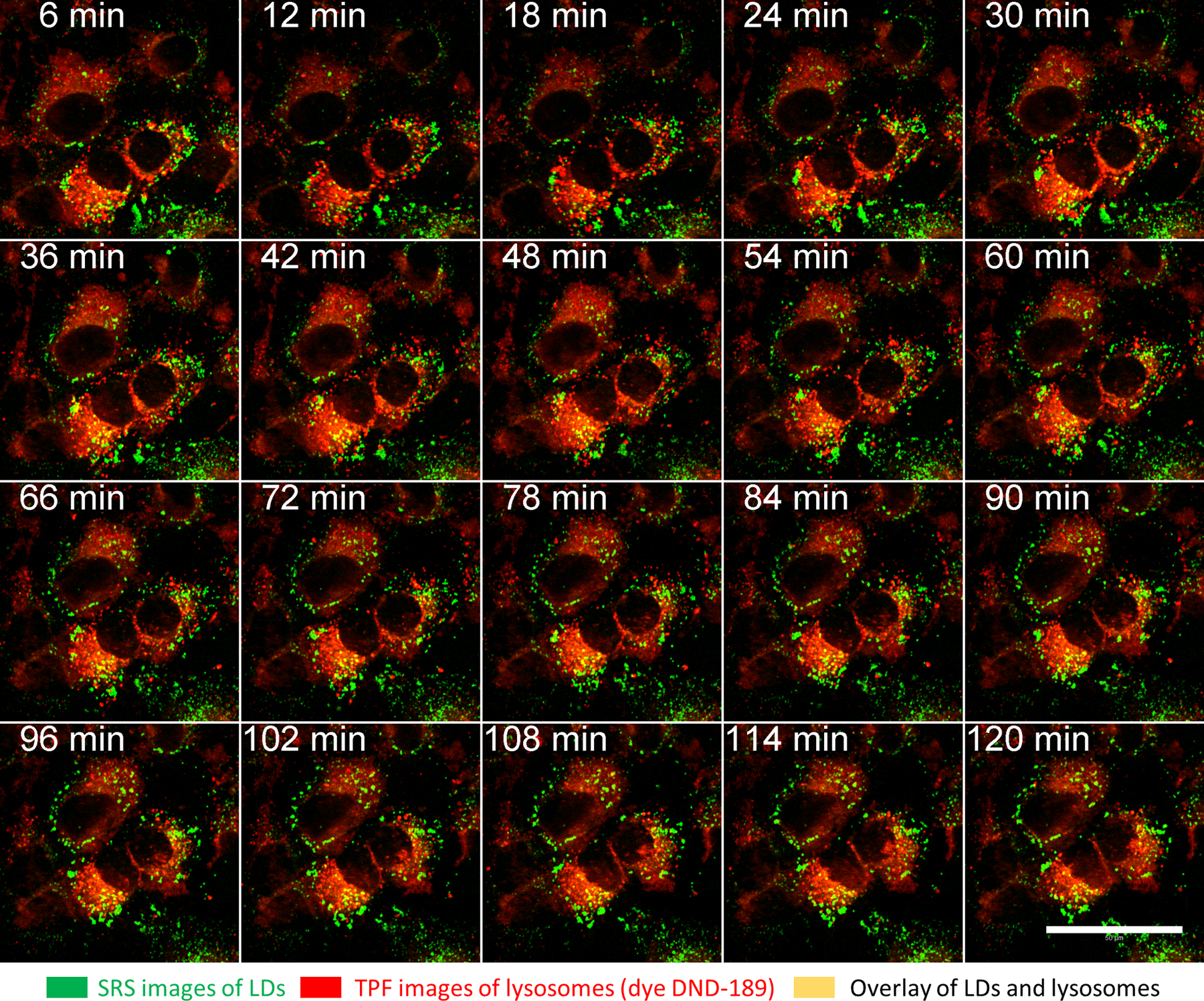 Figure 6: