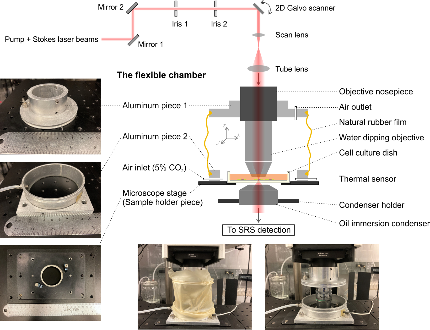 Figure 2: