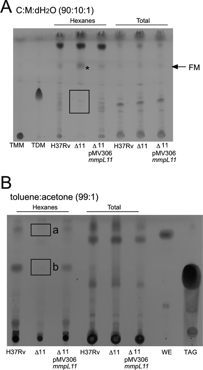 FIG 2