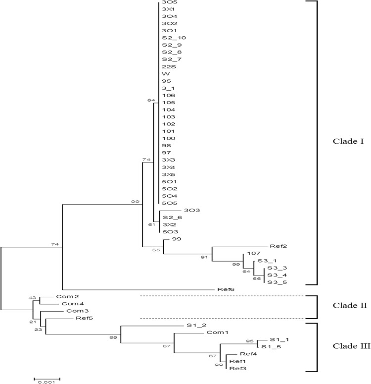 Fig. 2