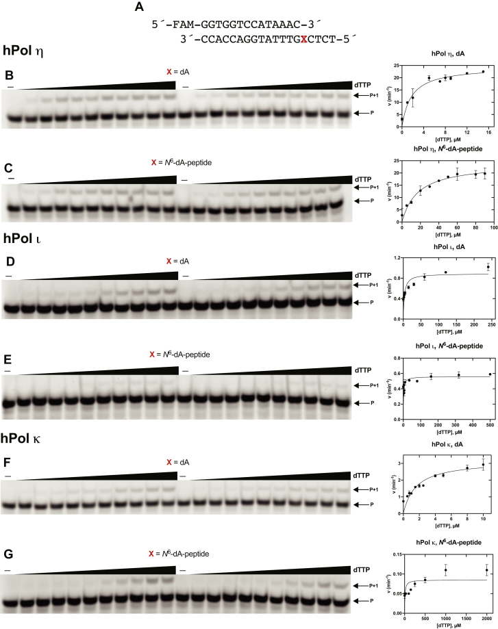 Figure 6