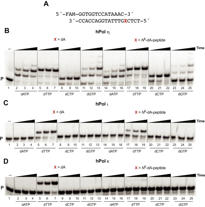 Figure 5