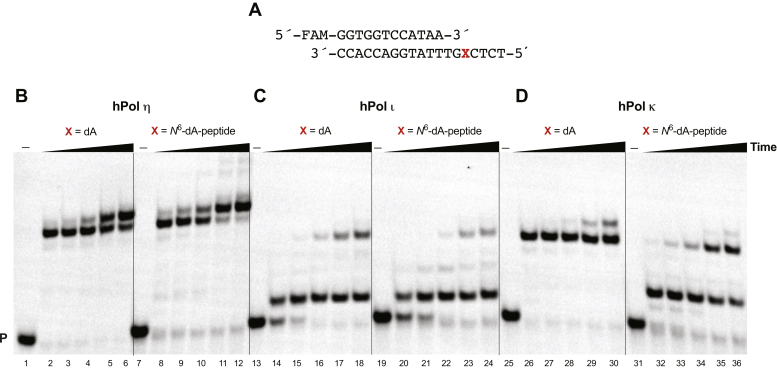 Figure 4