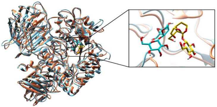 Figure 6