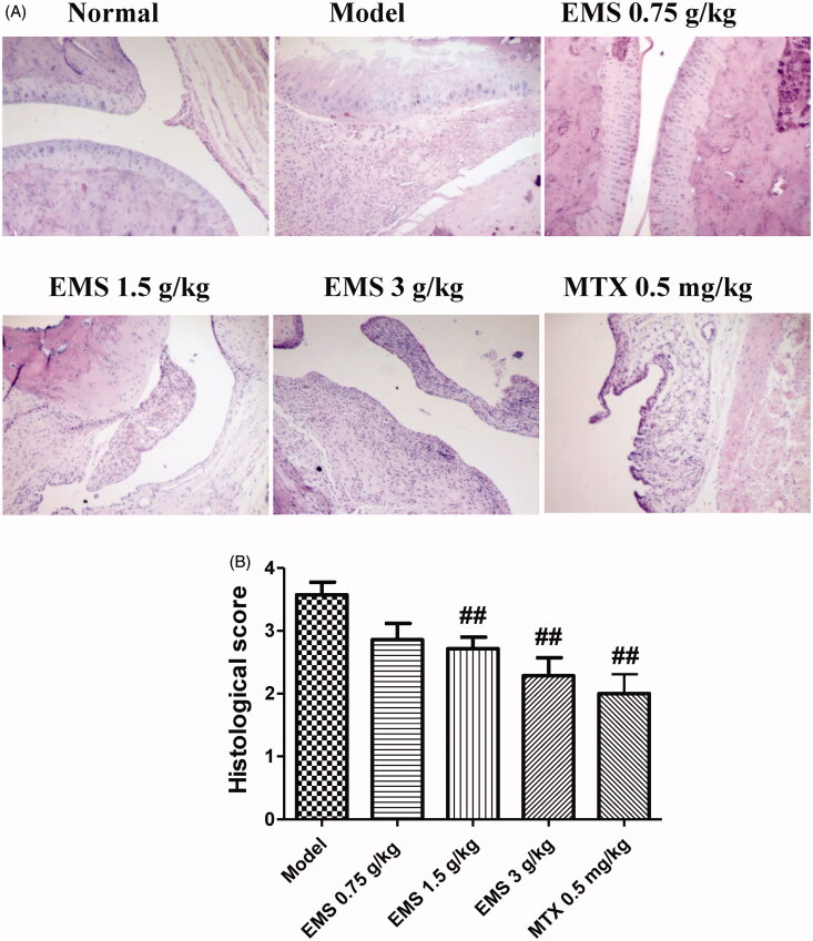 Figure 3.