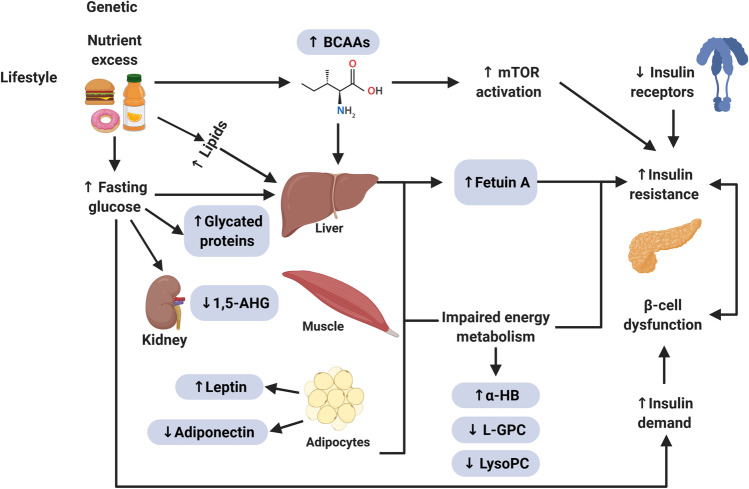 Fig. 2