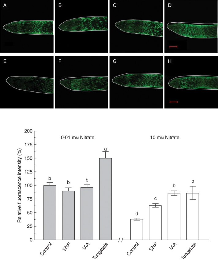 Fig. 4.