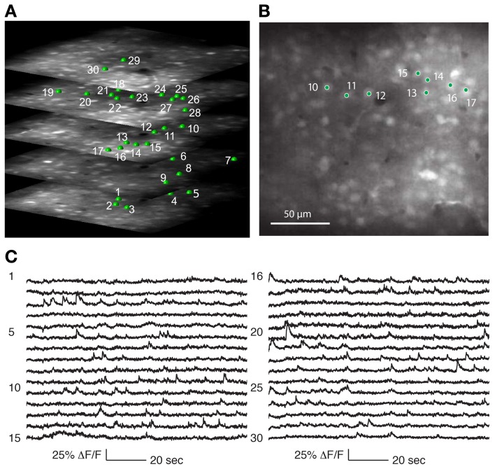 Figure 4