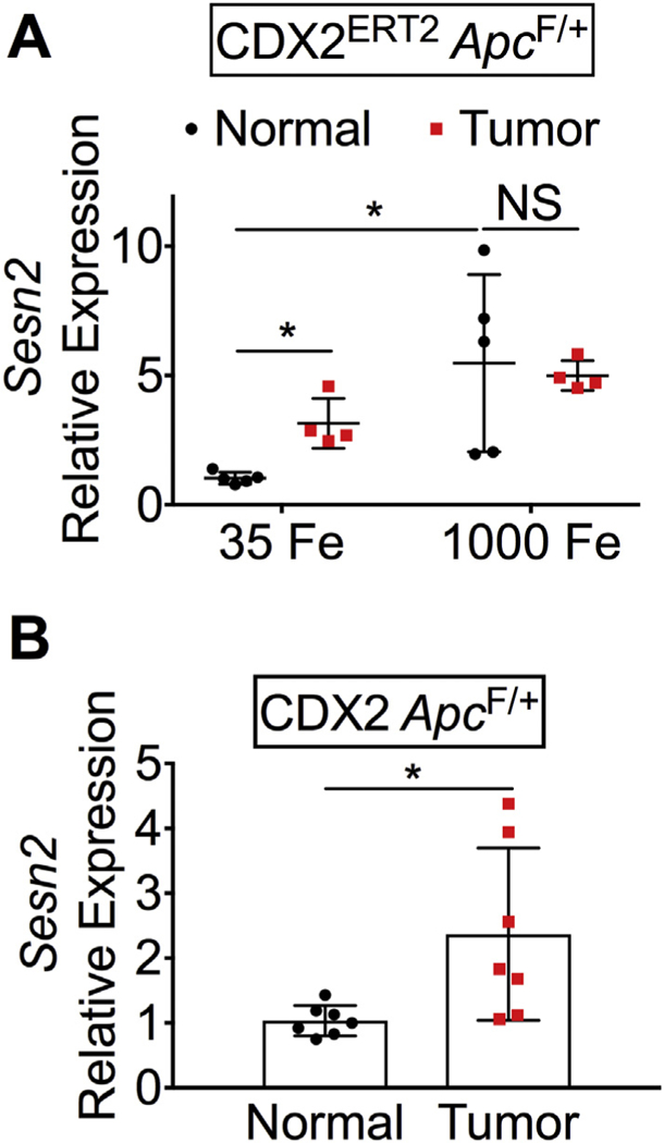 Fig. 5.