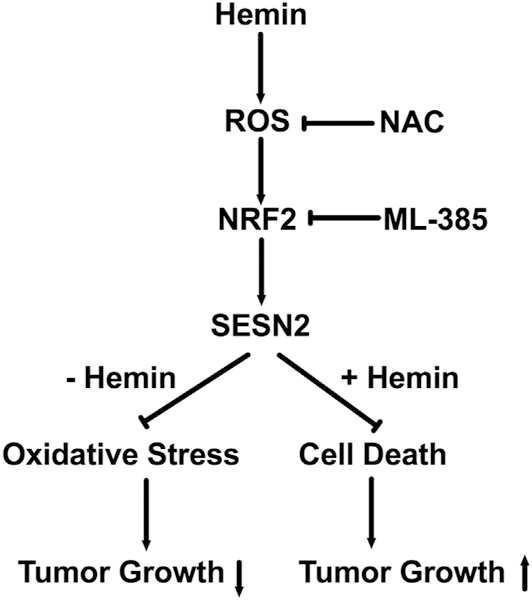 Fig. 8.