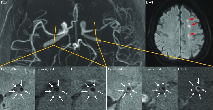 Fig. 3