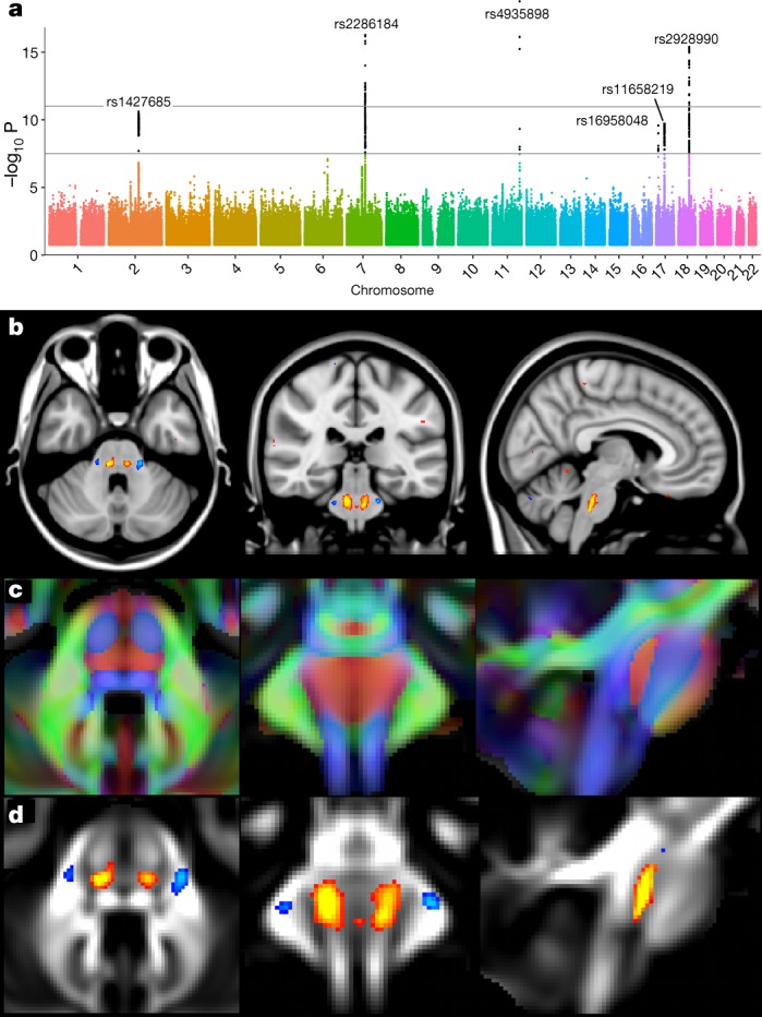 Fig. 4