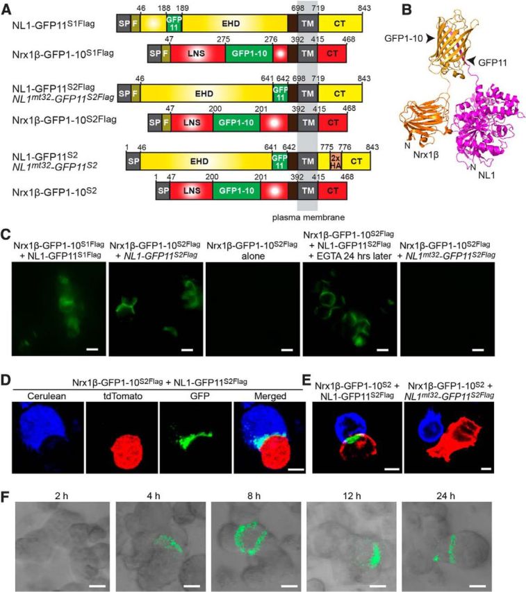 Figure 2.