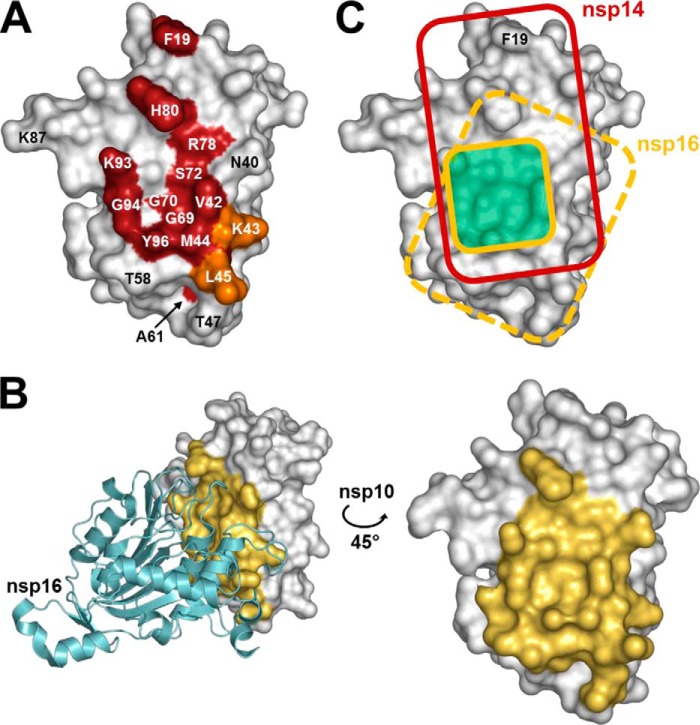 FIGURE 5.